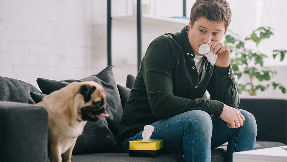Installing an air purifier is one of the smartest ways to improve your residence’s indoor air quality. Discover more about the three best products. 